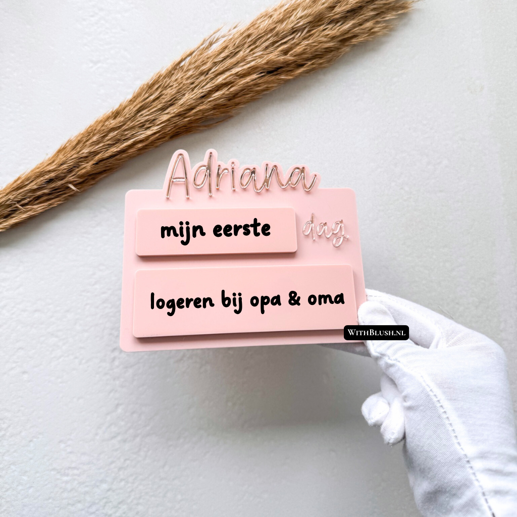 Mini Invulbord | Mijn Eerste & Laatste Dag