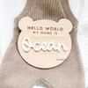 Houten geboortebord in teddybeer vorm met de tekst 'Hello World, My Name Is, en gepersonaliseerd met naam